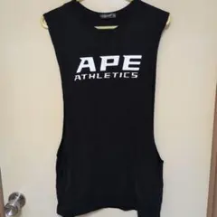 Item thumbnail for item 6cf4456e-a80f-4b18-9083-b2c29ee7a7e5