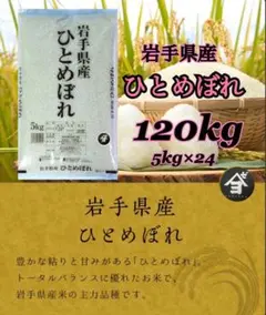 米 8年連続特A 白米【岩手県産銀河のしずく120kg】 (5kg×24) - メルカリ