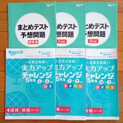 進研ゼミ 実力アップチャレンジ5年生 応用力完成！ 挑戦コース 予想問題セット