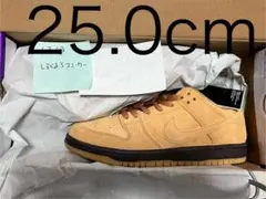 Nike SB Dunk Low Pro 