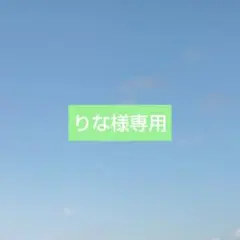 りな様専用ページ