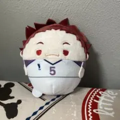 ハイキュー ふわコロりん5 天童覚