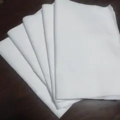 Item thumbnail for item 652a4bcc-f1fc-470a-acbc-4212934cd2c0