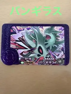 ポケモンフレンダ　ベストタッグ　第4弾　バンギラス　おまけ　テラパゴス