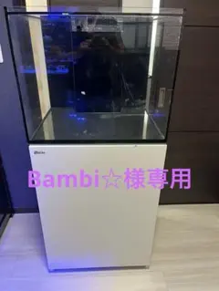 Bambi☆様専用 Red Sea REEFER 170 - メルカリ