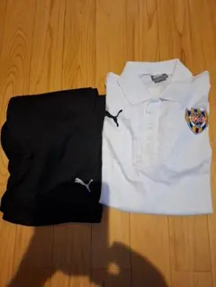 清水エスパルス 応援グッズ