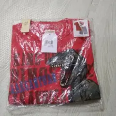 マザウェイズ　ストライプ　恐竜　上下セット　半袖　Tシャツ　半ズボン