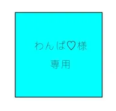 わんぱ♡様専用