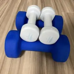 FIELDOOR 3kg ダンベル 青、1キロダンベル