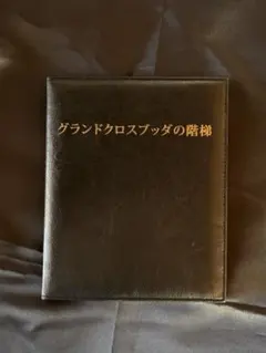 DVD第38弾 次世代マインドテクノロジー 苫米地英人 - メルカリ