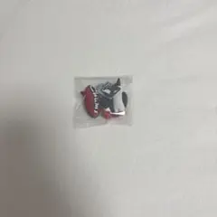 CHUMS キーホルダー