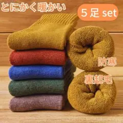 もこもこ レディースソックス 暖色系 5足セット 防寒裏起毛 無地 女性用靴下