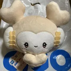 TWICE LOVELYS×SANRIO CHARACTERS