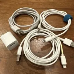 Lightningケーブル 3本とUSB充電器セット