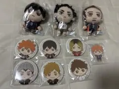 ハイキュー!! セガラッキーくじ ぬいぐるみ 缶バッジ アクリルスタンド