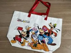 香港ディズニーランド限定 ショッパー・ショッピングバッグ Mサイズ