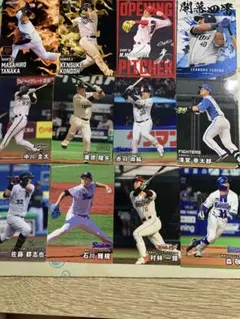 プロ野球チップス トレーディングカードセット