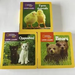 Youri様 リクエスト 4点 まとめ商品