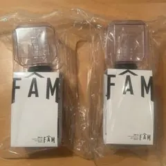 timelesz FAM ペンライト 2個セット