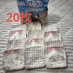 20枚　マナーウェア　ssサイズ　女の子用②のサムネイル