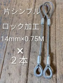 Item thumbnail for item e8659d60-be33-4216-b3ef-1c2da8e16ff5