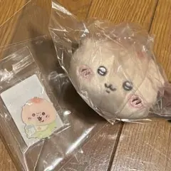 ちいかわChiikawa Babyハイハイぬいぐるみ+マグネット　くりまんじゅう