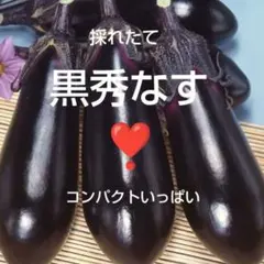 【兵庫県産】野菜詰め合わせ　野菜セット　茄子　黒秀なす　コンパクト