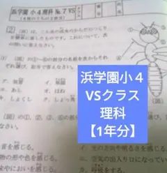 2026年最新】浜学園復習テストの人気アイテム - メルカリ