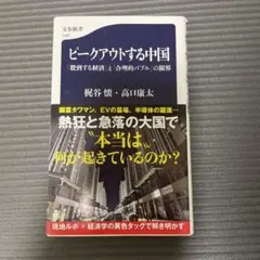 ピークアウトする中国 「殺到する経済」と「合理的バブル」の限界