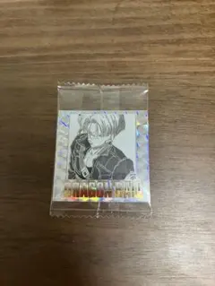 ドラゴンボール40周年ウエハーストランクス