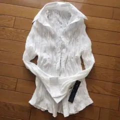 プリーツ加工 長袖シャツ