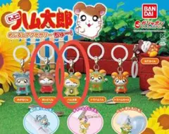 とっとこハム太郎　めじるしアクセサリー　ちゅー！　ハム太郎　まいどくん