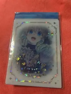 ある日、お姫様になってしまった件について 特典