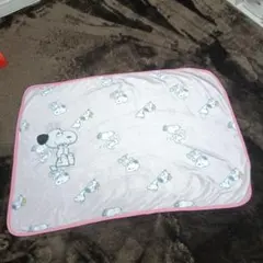 専用！スヌーピーひざ掛け