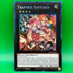 2026年最新】フレシアの蟲惑魔 コレクターズの人気アイテム - メルカリ