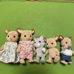 シルバニアファミリー 人形5体セットお値下げ中