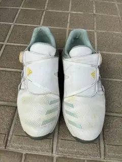 Item thumbnail for item a334399d-774f-4f4f-9450-715b7f3afcdd