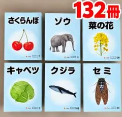 ベビーパーク オリジナルピクチャーブックレット 132冊セット 知育教材