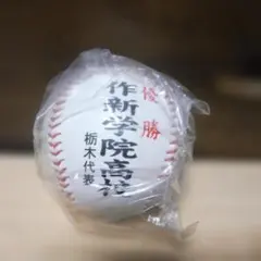 2026年最新】作新学院 野球の人気アイテム - メルカリ