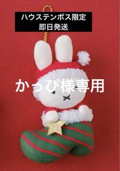 かっぴ様 リクエスト 2点 まとめ商品