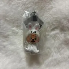 StrayKids SKZOO つまんでつなげてますこっと ハンクウォッカ