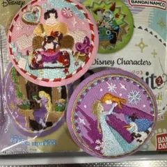 ディズニー 刺繍缶バッチ アナと雪の女王とシュガーラッシュ　2個セット