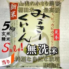 「殺虫剤：農薬不使用」ミルキークイーン／酵素米／玄米５キロ 「無洗米し発送」のサムネイル