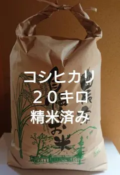 令和7年 新米 大分県産なつほのか 白米20㎏キロ 精米済み分 お米こめ