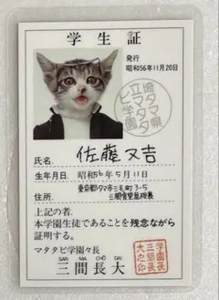 Item thumbnail for item e4e57700-b492-4d35-ab22-da1e581328bd