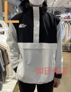 新品タグ付きノースフェイス　ニュー ディルトン アノラック【Lサイズ】