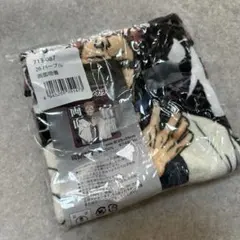 Item thumbnail for item ccb67cab-e32f-4d8b-91f7-c45799968c26