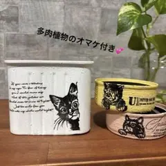 リメ缶190 リメイク缶 多肉植物 デコパージュ 寄せ植え リメ鉢