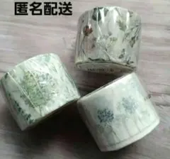 マスキングテープ Dry Flower Series ドライフラワーのサムネイル