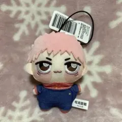 呪術廻戦　ちょぴぬいぷち　虎杖悠仁